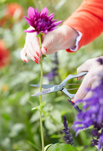 Load image into Gallery viewer, Sophie Conran Precision Secateurs