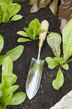 Load image into Gallery viewer, Sophie Conran Long Thin Trowel