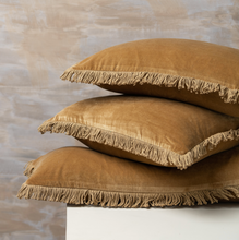 Load image into Gallery viewer, Fringed Cotton Velvet Cushions