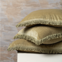 Load image into Gallery viewer, Fringed Cotton Velvet Cushions