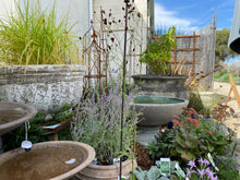 Load image into Gallery viewer, Hens Teeth Trading Gift Card