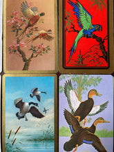 Load image into Gallery viewer, 12 Pretty Vintage Playing Cards of Birds
