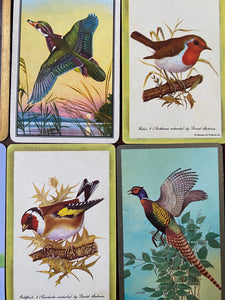 12 Pretty Vintage Playing Cards of Birds