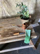 Load image into Gallery viewer, Vintage Timber Saw Bench
