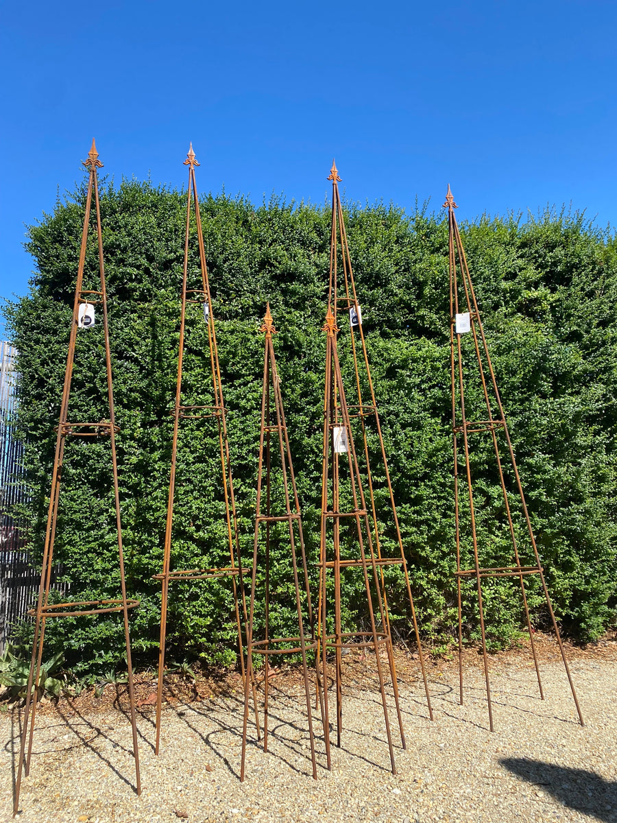 Rust Growing Frame – HensTeethTrading