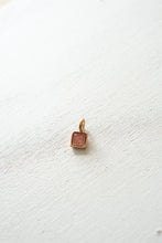 Load image into Gallery viewer, Pesci Che Volano- Mini Quadra Charm