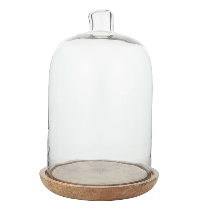 Cyrus Glass Cloche with Wooden Base