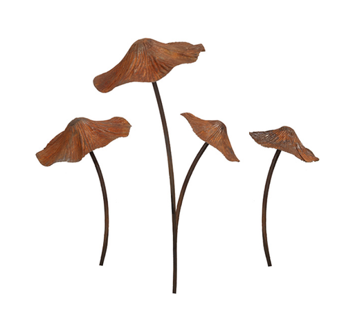 Rusty Mushrooms