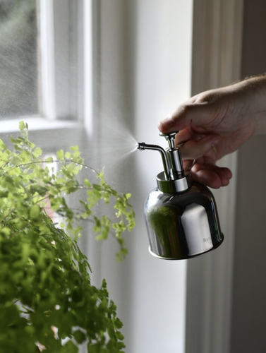 Indoor Plant Mister Stainless Steel