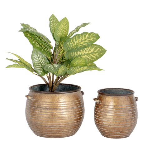 Bronze Moon Pot (2 sizes)