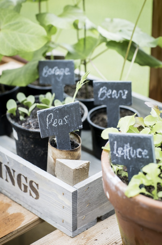 Slate Plant Tags T Shape (Set 6)
