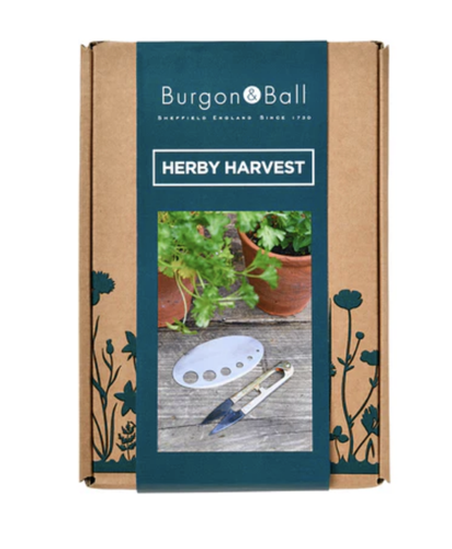 Herby Harvest Set
