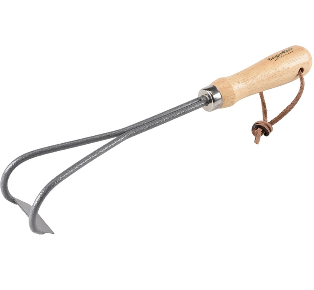 RHS Container Weeder