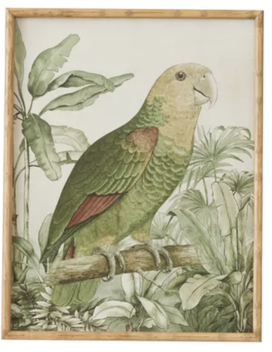 Barbuda Framed Glass Parrot Prints