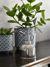 Load image into Gallery viewer, Indoor Plant Mister Stainless Steel