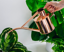 Load image into Gallery viewer, The Rowley Ripple Copper Two Pint Watering Can