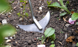 Weed Slice Short Handle