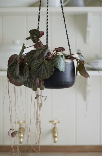 Sunset Hanging Pot