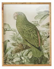 Load image into Gallery viewer, Barbuda Framed Glass Parrot Prints
