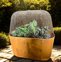 Load image into Gallery viewer, Oval Corten Steel Planters