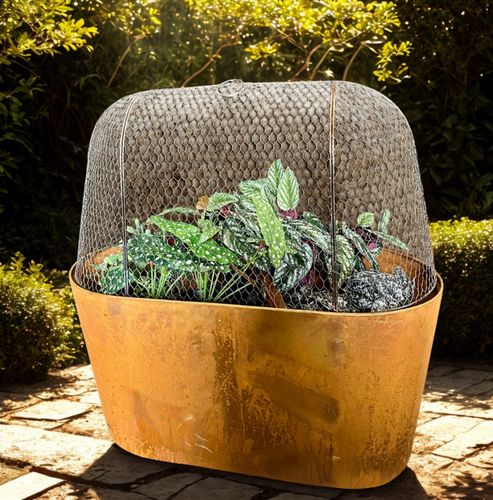 Oval Corten Steel Planters