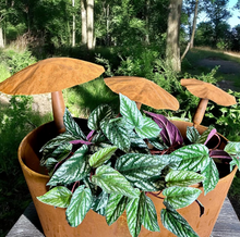 Load image into Gallery viewer, Set of 3 Rusty Mushroom Stakes