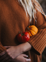 Load image into Gallery viewer, Balmain Pure New Zealand Lambswool Roll Neck Sweater
