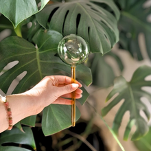 Load image into Gallery viewer, Self Watering Plant Globes