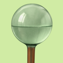 Load image into Gallery viewer, Self Watering Plant Globes