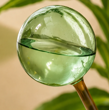 Load image into Gallery viewer, Self Watering Plant Globes