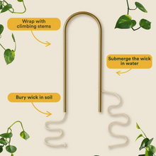 Load image into Gallery viewer, Self Watering Plant Climber
