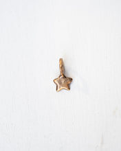 Load image into Gallery viewer, Pesci Che Volano- Stellina Charm