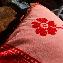 Load image into Gallery viewer, Sage x Clare Bonny Reversible Velvet Cushion - Sienna