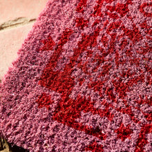 Load image into Gallery viewer, Sage x Clare Indiana Door Mat