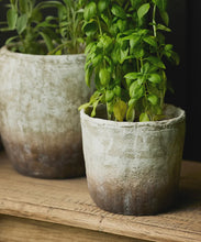 Load image into Gallery viewer, Marron Planters &amp; Vase