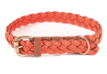 Load image into Gallery viewer, Windsor Leather Pet Collar (Braided)