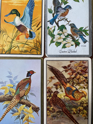 12 Pretty Vintage Playing Cards of Birds