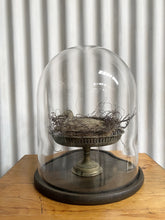 Load image into Gallery viewer, Large Glass Cloche with Wooden Base