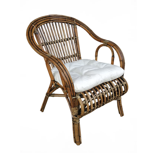 Rattan Verandah Chair with Cushion