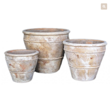 Load image into Gallery viewer, ATC Citrus Round Pot (3 sizes)