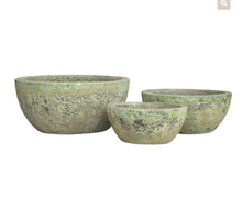 Load image into Gallery viewer, Ancient Snake Skin Bowl (3 sizes)