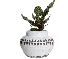 Load image into Gallery viewer, Tribal Style Ceramic Pot