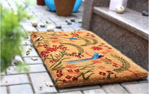 Vivid Coir Doormat