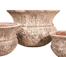 Load image into Gallery viewer, Ancient Lucinda Pot (3 sizes)